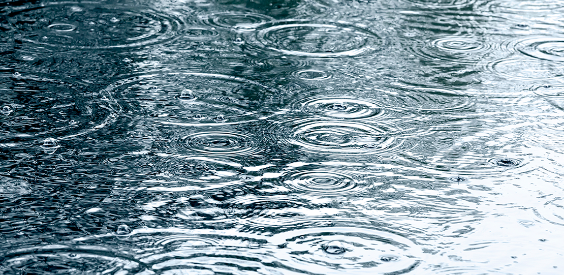 Lluvia y charco.